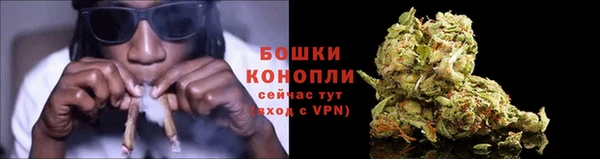 дурь Алзамай