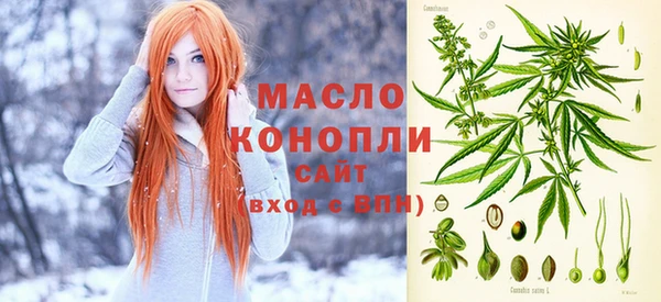 спиды Пересвет