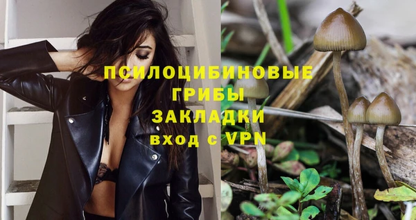 дурь Алзамай