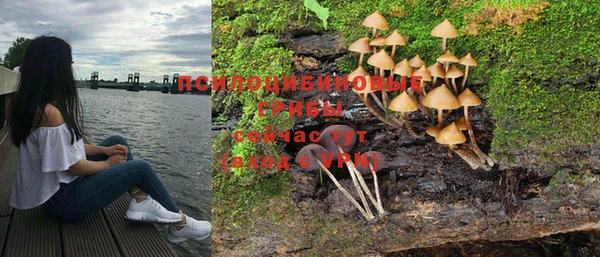 трава Алексин