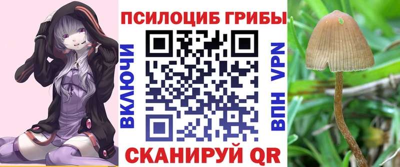 Галлюциногенные грибы GOLDEN TEACHER купить наркоту Балабаново