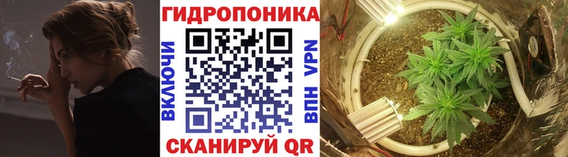мориарти какой сайт  где можно купить   Балабаново  Бошки Шишки ГИДРОПОН 